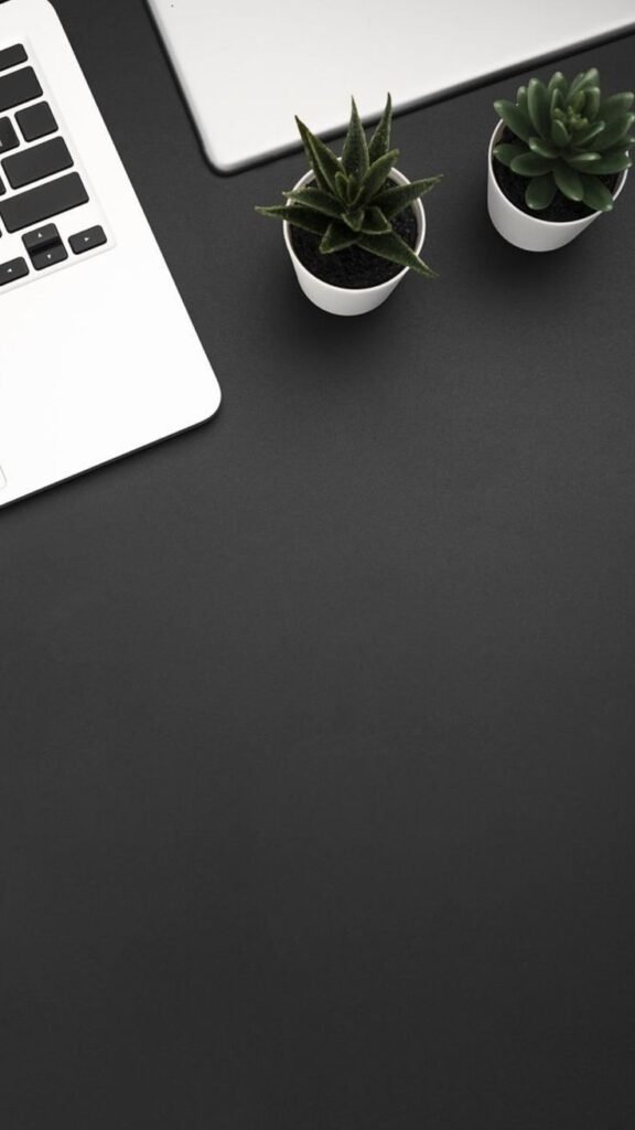 best freelance digital marketer in malappuram blog 4